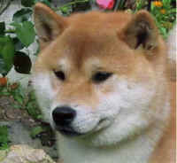 sato.jpg (831092 Byte)
